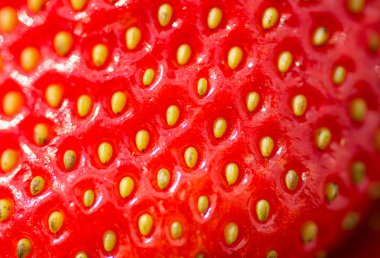 Taze, olgun çilek yakın çekim. Çilek makro fotoğraf