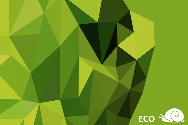 Streszczenie karty z wieloboczną eco design. — Wektor stockowy