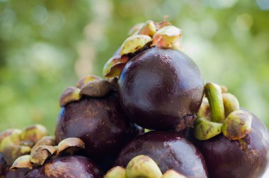 birkaç taze mor mangosteens 