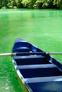mavi yeşil tropikal su teknede
