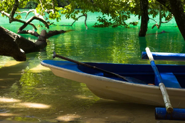 Kék csónak-zöld trópusi vízen — Stock Fotó