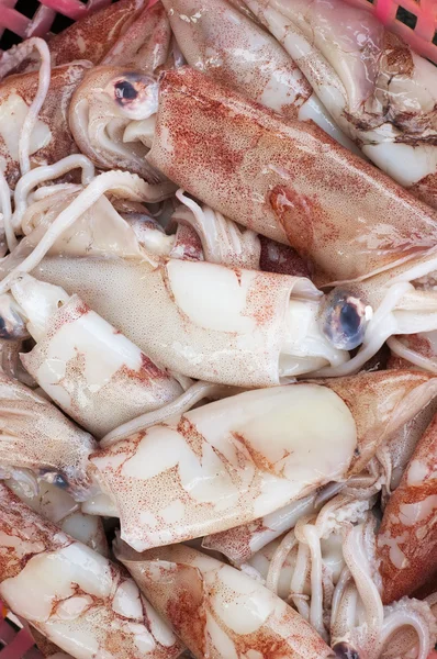 Brown squids on fish market — Stock Photo, Image