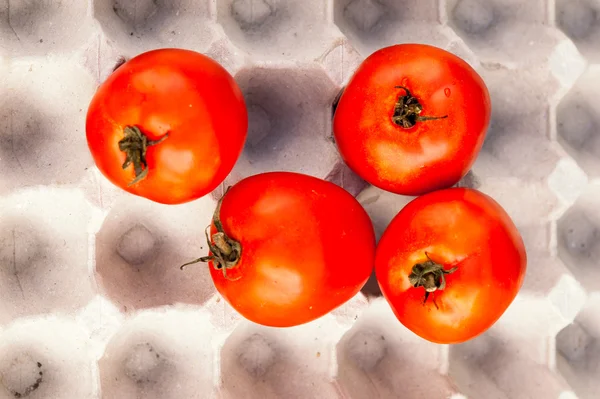 Fresh ripe red tomatoes in the box — Stock Photo, Image