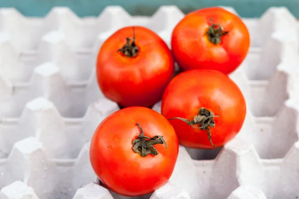Fresh ripe red tomatoes in the box — Stock Photo, Image