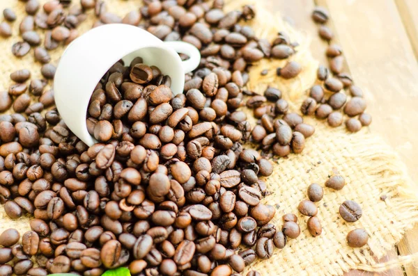 Coffee beans with white cup and green leaves — Stock Photo, Image