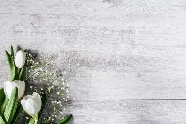 Gri arka plan üzerinde beyaz laleler