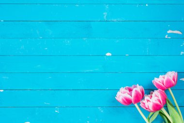 Vintage blue wooden background with pink flowers clipart