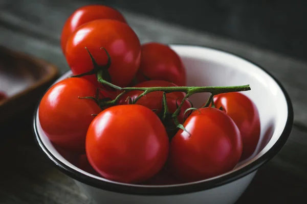 Fresh tomatoes on vine — Stock Photo, Image