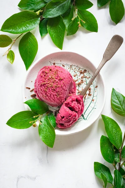 Cherry sorbet garnished with chocolate shavings — Stock Photo, Image