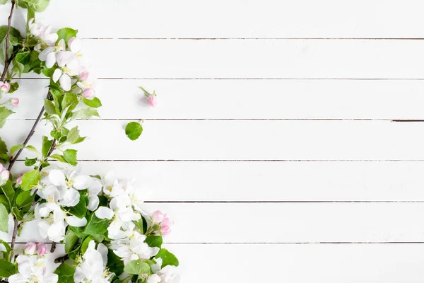 White wooden background with white flowers, apple and cherry blossoms — Stock Photo, Image