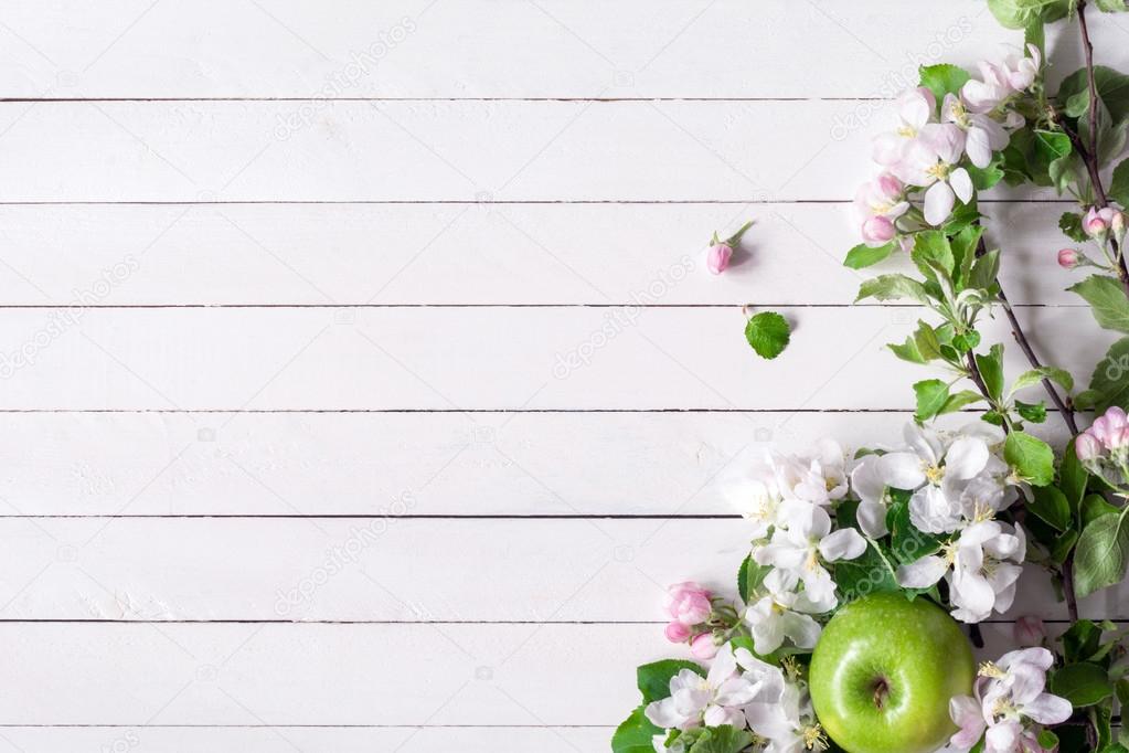 White wooden background with white flowers, apple and cherry blossoms Stock  Photo by ©VladislavNosick 111617772