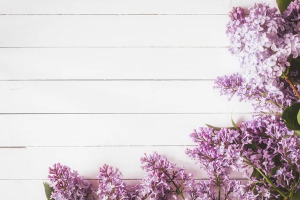 Fleurs de lilas sur bois blanc — Photo