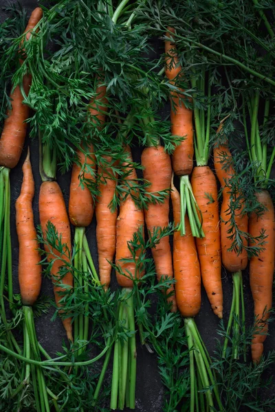 Rauwe biologische wortelen met groene tops — Stockfoto