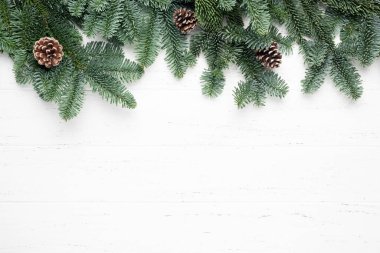 Beyaz ahşap arkaplanda fidan dalı