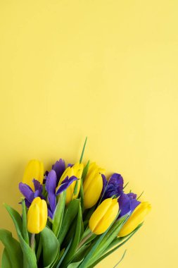 Sarı arka planda sarı laleler ve irisler. Üst görünüm