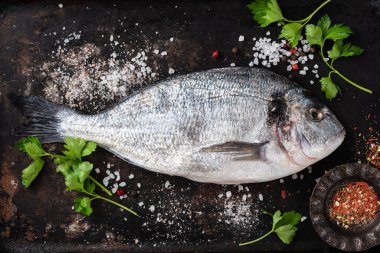 Siyah arka planda baharatlı taze dorado. Çiğ pişmemiş deniz balığı.