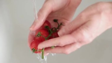 Lavaboda vişneli domatesleri suyla yıkamak, yakından bakmak. Kadın eli, ev mutfağında domates yıkar.