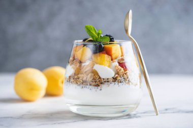 Kayısı ve yaban mersinli yoğurt taneli parfe. Sağlıklı diyet yemekleri