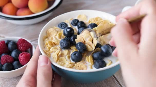 Τρώγοντας Πρωινό Δημητριακά Χωρίς Ζάχαρη Νιφάδες Καλαμποκιού Γάλα Και Βατόμουρα — Αρχείο Βίντεο