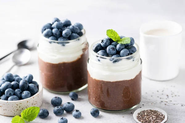 Шоколадный пудинг с йогуртом и черникой — стоковое фото