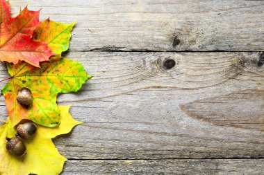 Ahşap arka planda sonbahar düşmüş yaprakları