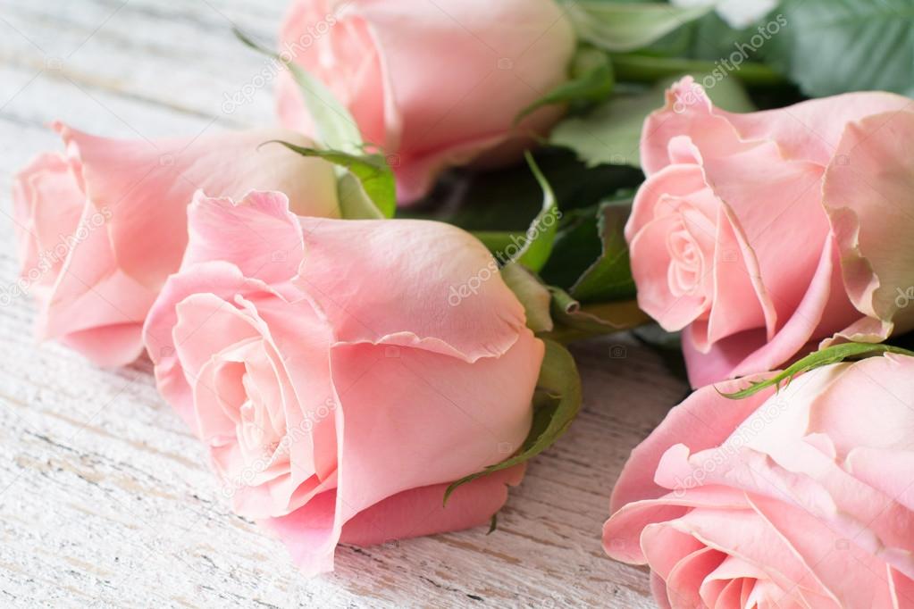 Beautiful pink roses on vintage wooden background