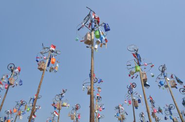 Yarış için Pinang kutup