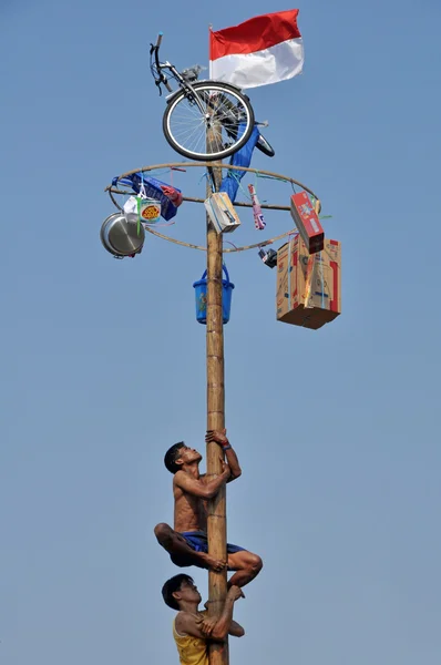 Panjat Pinang-Rennen — Stockfoto