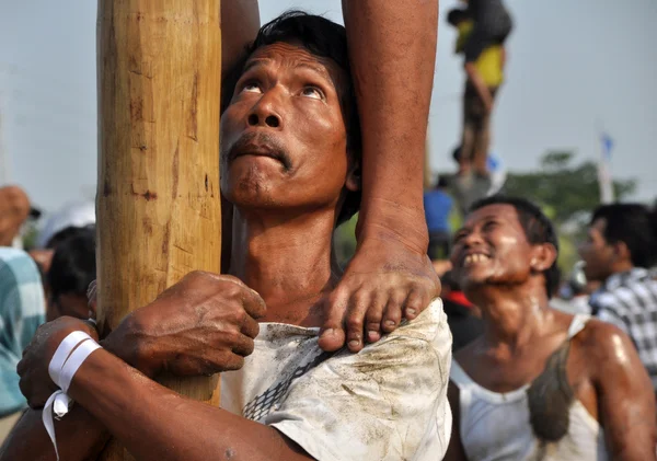 Panjat Pinang-Rennen — Stockfoto