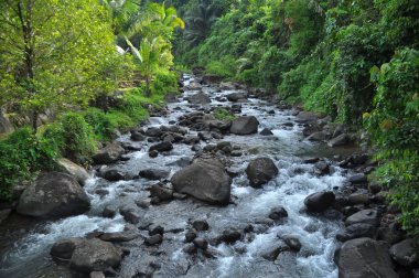 Yeşil peyzaj ile nehir ve taş