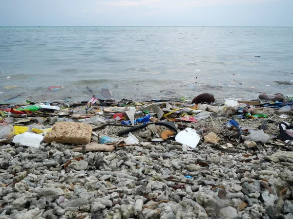  Plajda çöp ve atık
