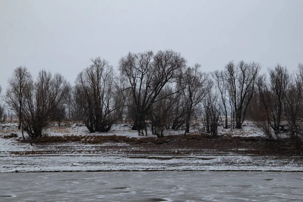 Paysage Nordique Avec Rivière Gelée Rivages Enneigés Nature Rude Glace — Photo