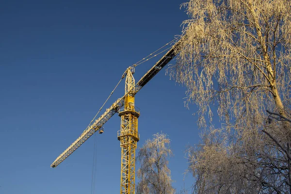 Guindaste Congelado Guindaste Torre Local Construção Coberto Com Gelo Geada — Fotografia de Stock