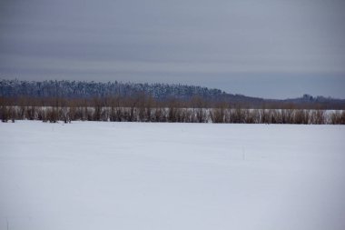 Ugra 'nın kuzey manzarası. Karla, ormanla ve tepelerle kaplı ıssız bir bölge..