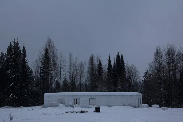 冬の霜のタイガの建物の遺跡 一階建てのコンクリート造の軍舎跡 — ストック写真