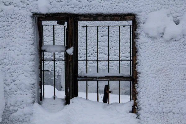 Ruins Building Winter Frosty Taiga Ruins One Story Concrete Army — Stock Photo, Image