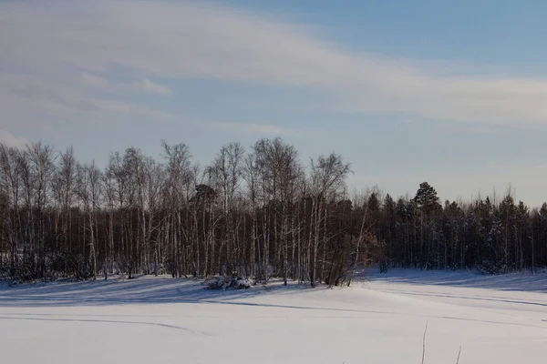 Kuzey kışı ve bahar manzarası. Hanty topraklarında sakin ve görkemli bir manzara ve ata binen bir geyik..