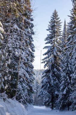 Karlı taygadaki baz istasyonları