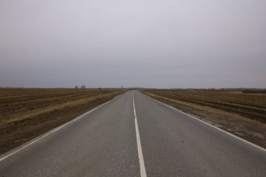 Tarlaların arasındaki yol. Bölgesel çift şeritli patika bahar tarlalarında esiyor..