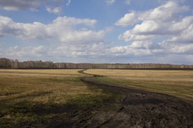 Ural bahar manzarası. Rusya Urallar 'da ilkbaharın başlarında tarlalar, huş ağaçları ve çam ağaçları.