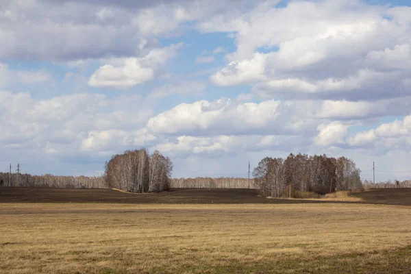 Wiosenny Krajobraz Uralu Pola Brzozy Lasy Sosnowe Wczesną Wiosną Uralu — Zdjęcie stockowe