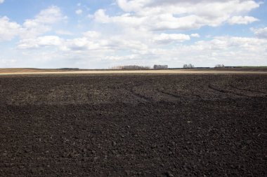 Ural vilayetindeki bahar tarlaları. Tarlalar, koruluklar ve kamyoncuların yarıştığı bir pist.