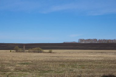 Açık bir gökyüzünün altındaki bahar tarlaları. Ural kırsal alanlar