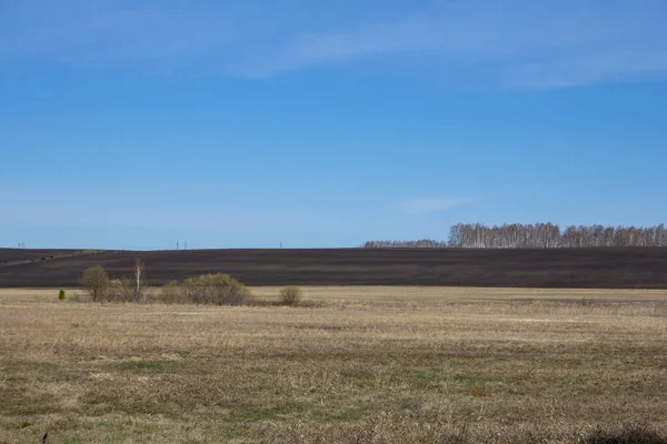 Açık bir gökyüzünün altındaki bahar tarlaları. Ural kırsal alanlar