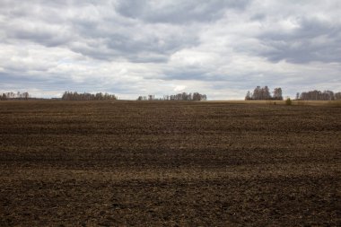 Tarla ekime hazır. Tarımsal mevsimin başında tarla.