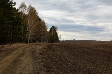 Tarla ekime hazır. Tarımsal mevsimin başında tarla.