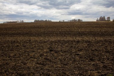 Tarla ekime hazır. Tarımsal mevsimin başında tarla.