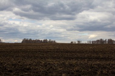 Tarla ekime hazır. Tarımsal mevsimin başında tarla.