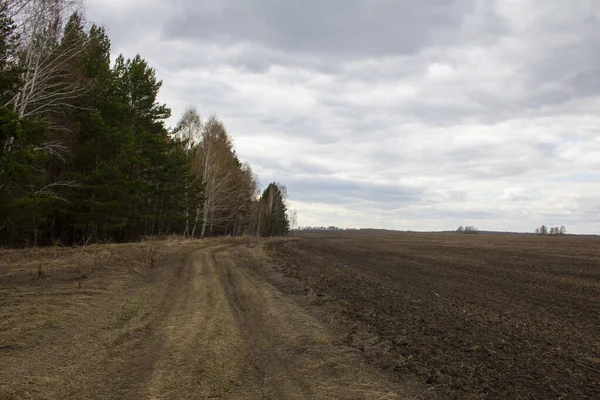 Tarla ekime hazır. Tarımsal mevsimin başında tarla.