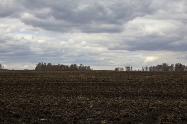 Tarla ekime hazır. Tarımsal mevsimin başında tarla.